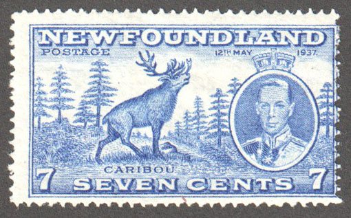 Newfoundland Scott 235 Mint F (P14.1) - Click Image to Close